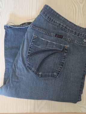 Torrid Blue Denim Jeans